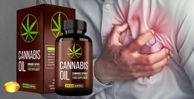 Cannabis Oil pentru hipertensiunea arteriala, ingrediente, prospect